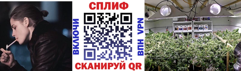 Где купить наркоту Тында COCAIN Alpha-PVP ГАШ